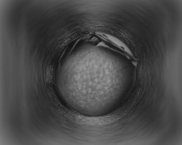 X0000052640030200507160208