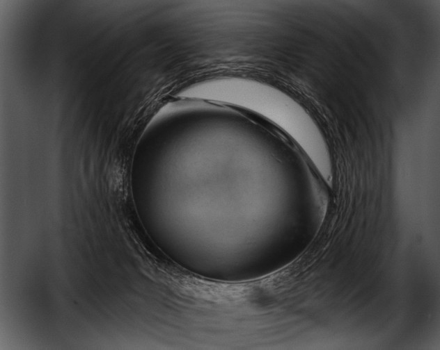 X0000052640031200507160208