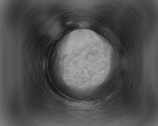 X0000052640032200507160208