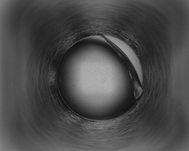 X0000052640033200507160208