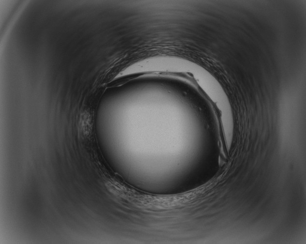 X0000052640037200507160208