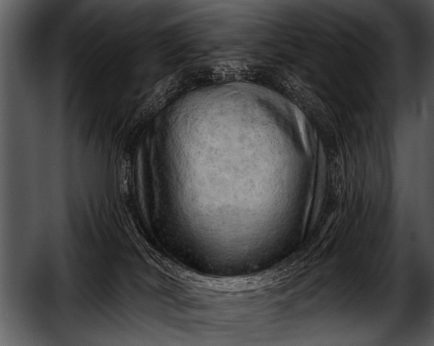 X0000052640038200507160208