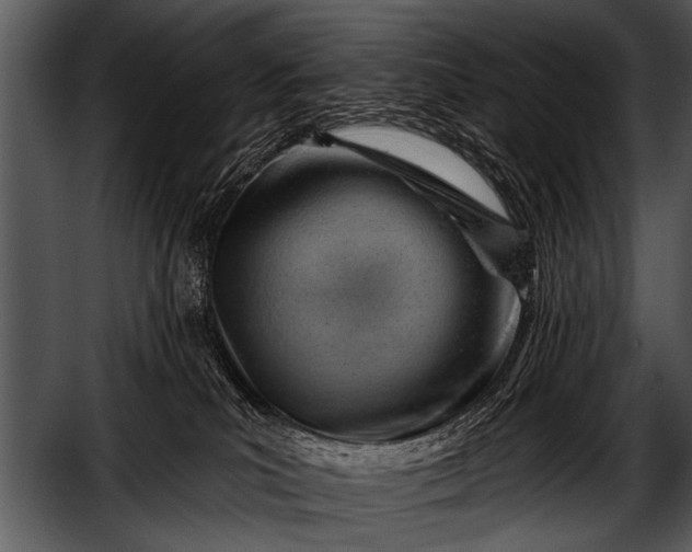 X0000052640039200507160208