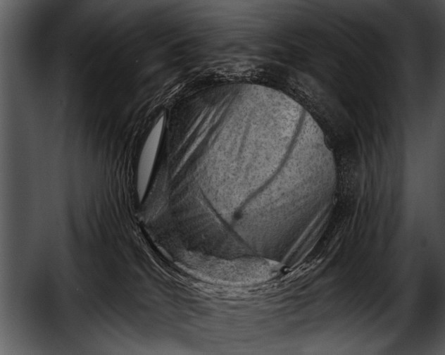 X0000052640040200507160208