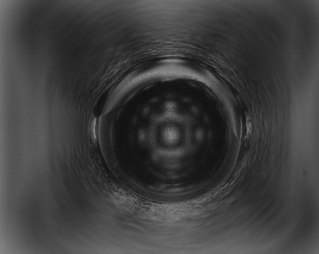 X0000052640041200507160208