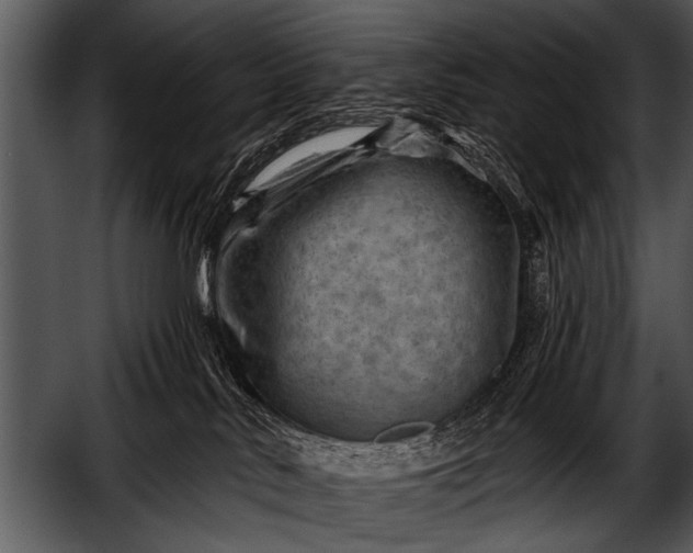 X0000052640042200507160208