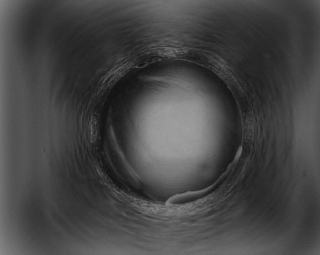 X0000052640043200507160208