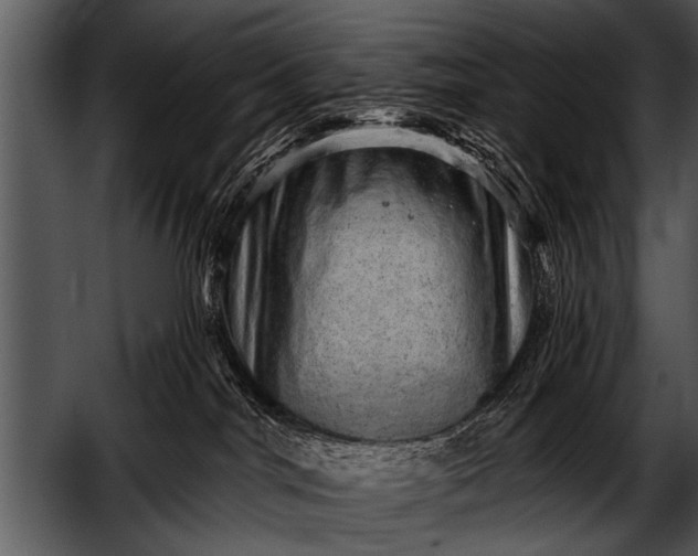 X0000052640044200507160208