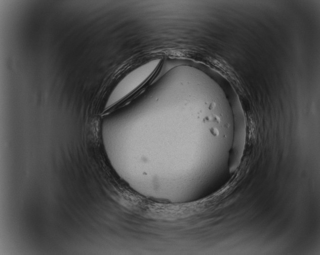 X0000052640045200507160208