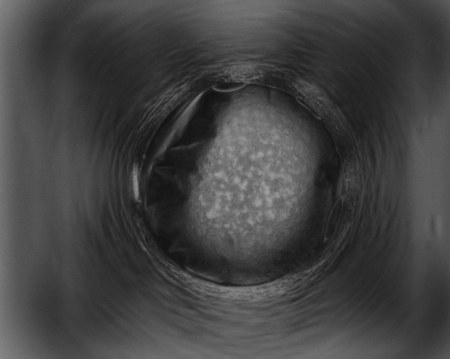 X0000052640046200507160208