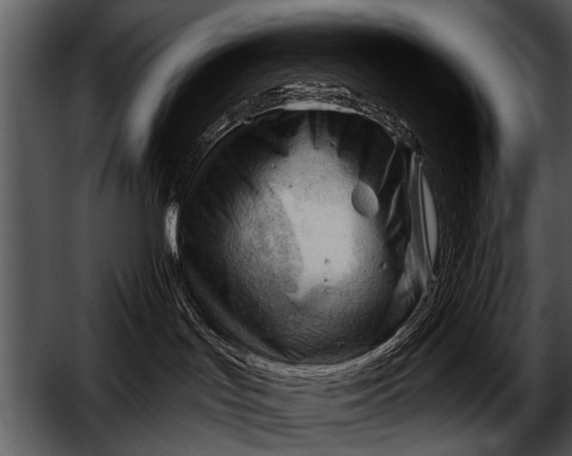 X0000052640047200507160208