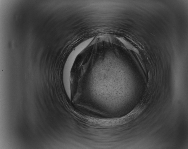 X0000052640048200507160208