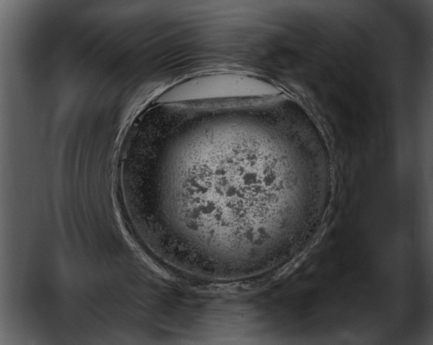 X0000052640049200507160207