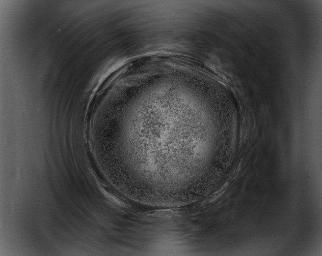 X0000052640050200507160207