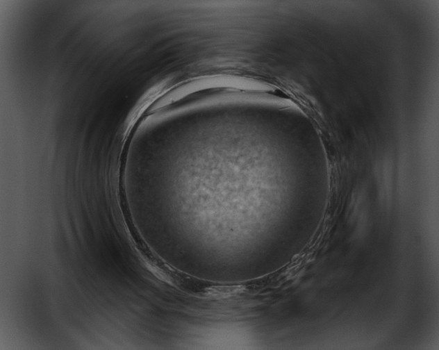 X0000052640051200507160207