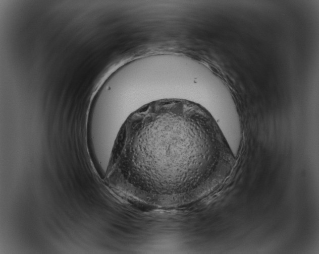 X0000052640052200507160207