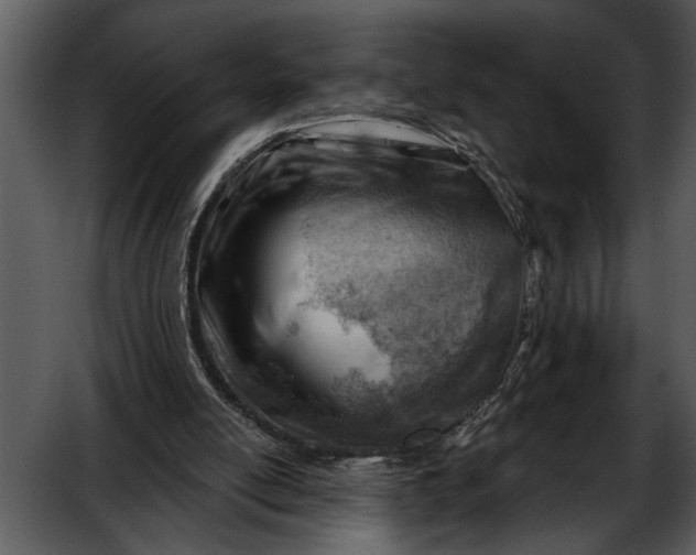 X0000052640054200507160207