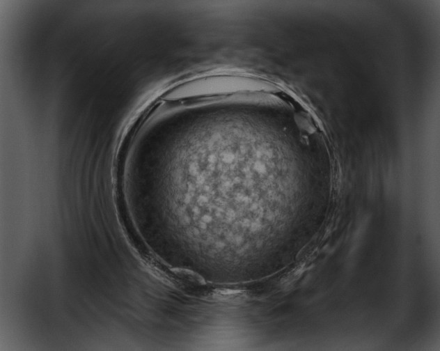 X0000052640055200507160207