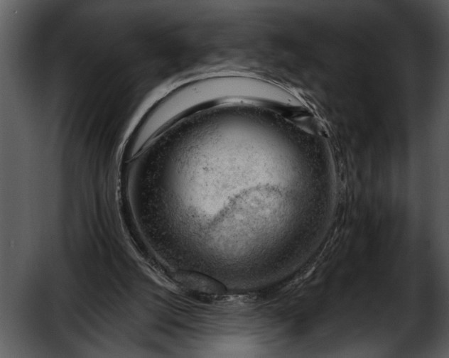 X0000052640056200507160207