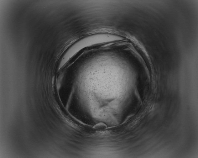 X0000052640057200507160207