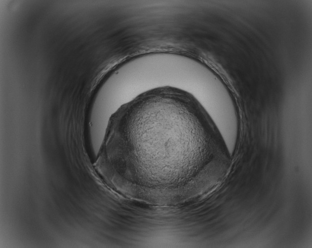 X0000052640058200507160207