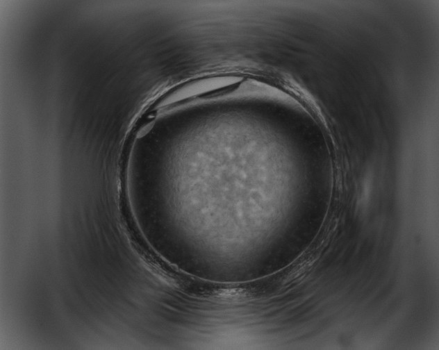 X0000052640059200507160207