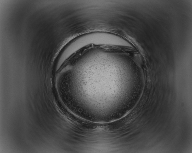 X0000052640060200507160207