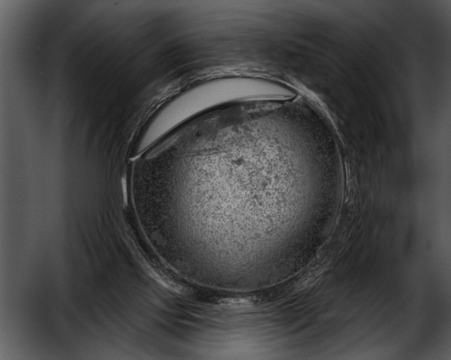 X0000052640061200507160207