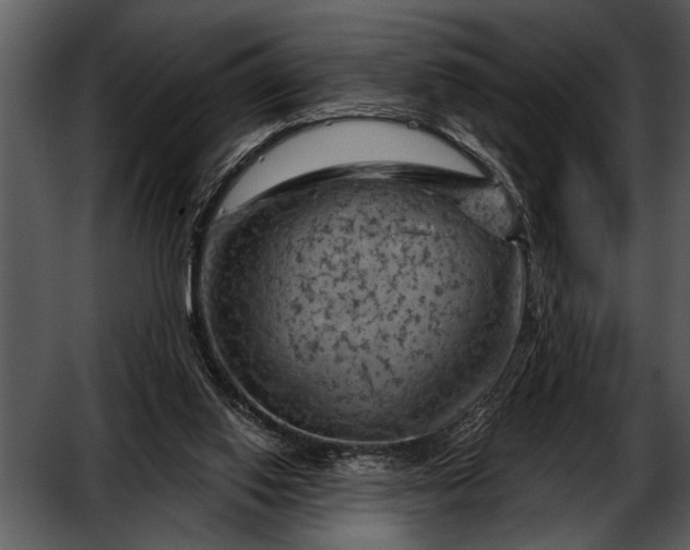 X0000052640062200507160207