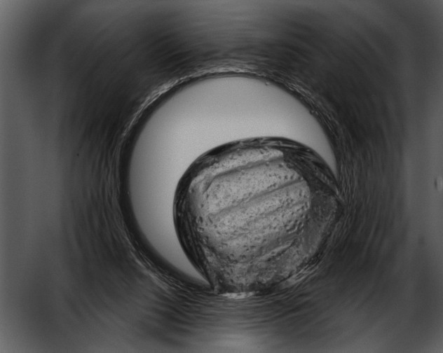 X0000052640064200507160208