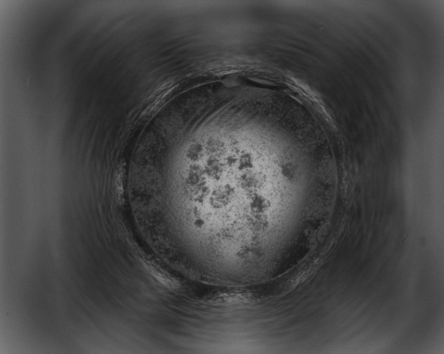 X0000052640065200507160208