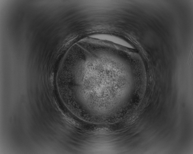 X0000052640066200507160208