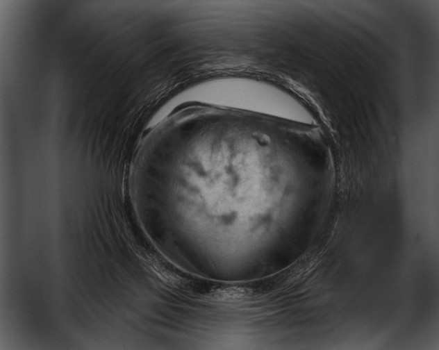 X0000052640069200507160208