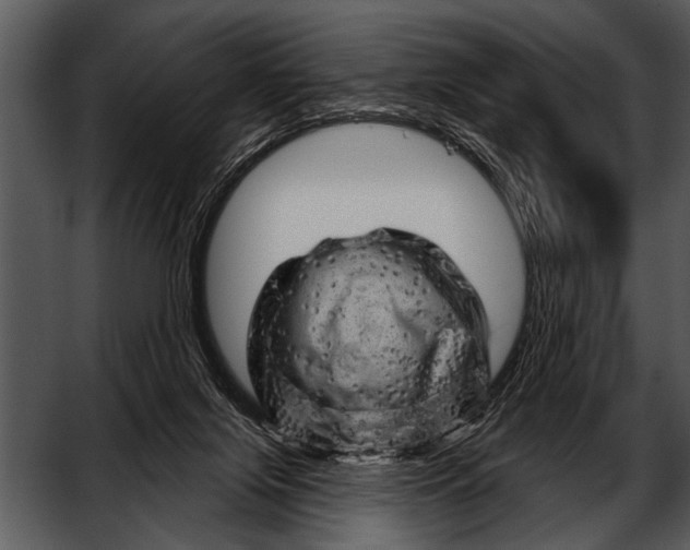 X0000052640071200507160208