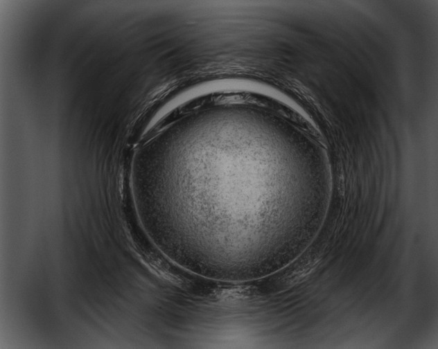 X0000052640072200507160208