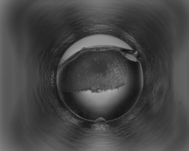 X0000052640073200507160208