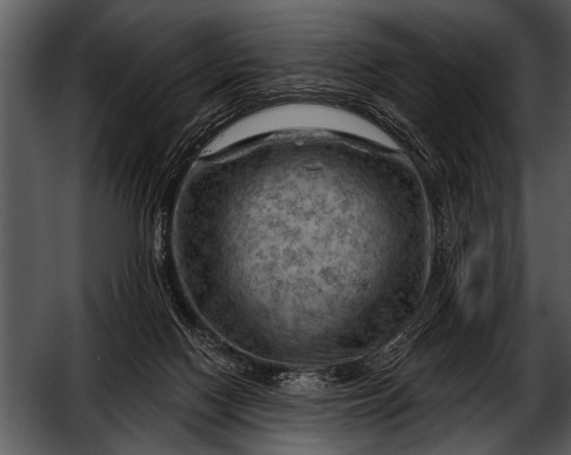 X0000052640074200507160208