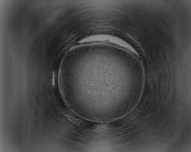 X0000052640075200507160208