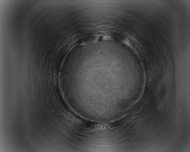 X0000052640077200507160208