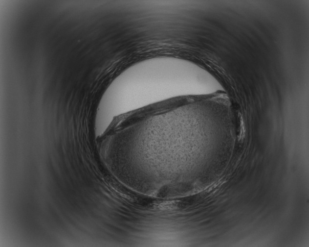 X0000052640078200507160208