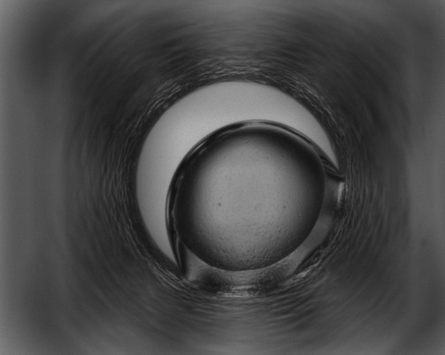 X0000052640079200507160208