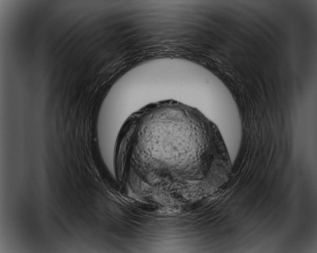 X0000052640080200507160208