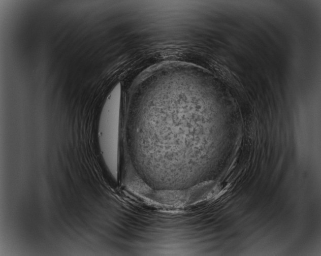 X0000052640082200507160208