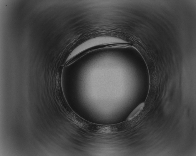 X0000052640083200507160208