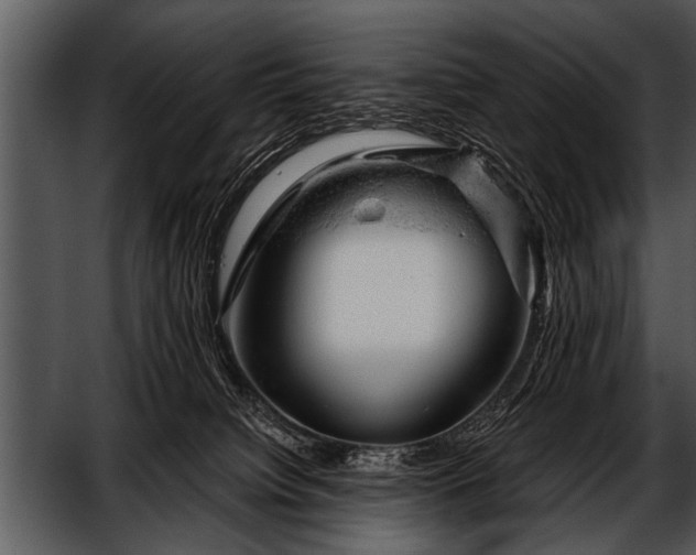 X0000052640084200507160208