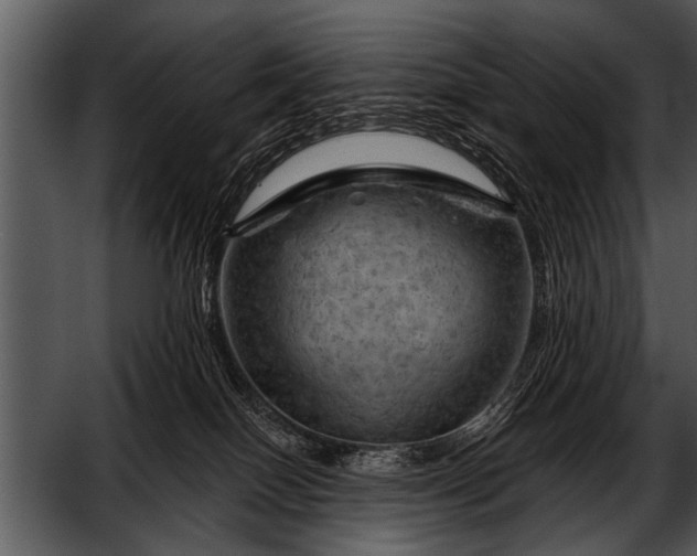 X0000052640086200507160208