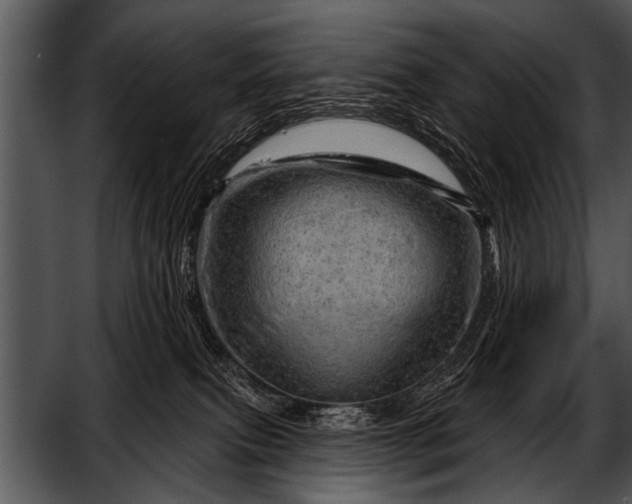 X0000052640087200507160208