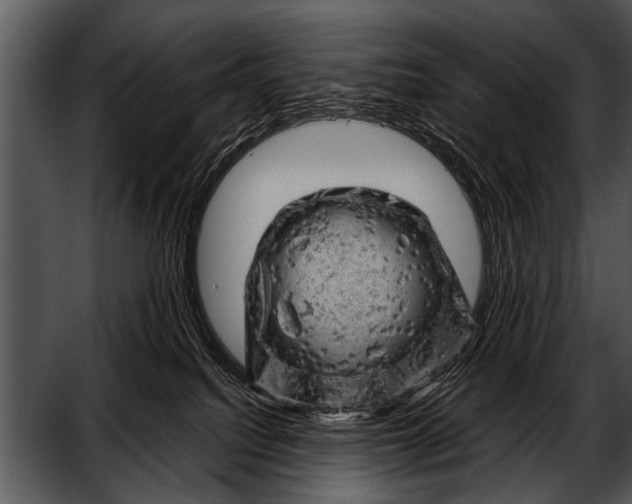 X0000052640088200507160208