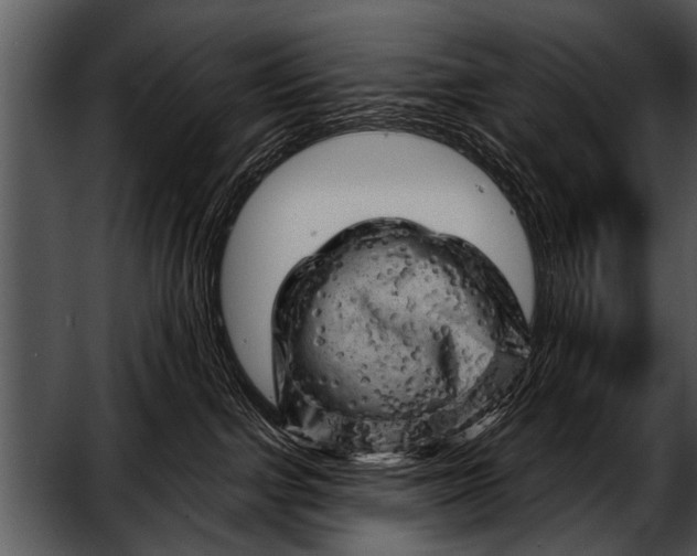 X0000052640091200507160208