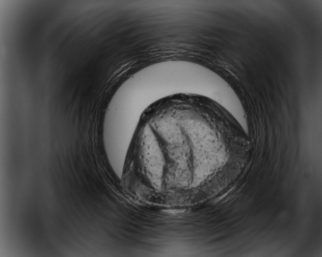 X0000052640092200507160208